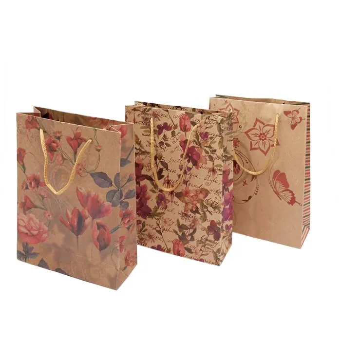 Bolsa De Papel C/Fuelle 20X15X8 Cm.