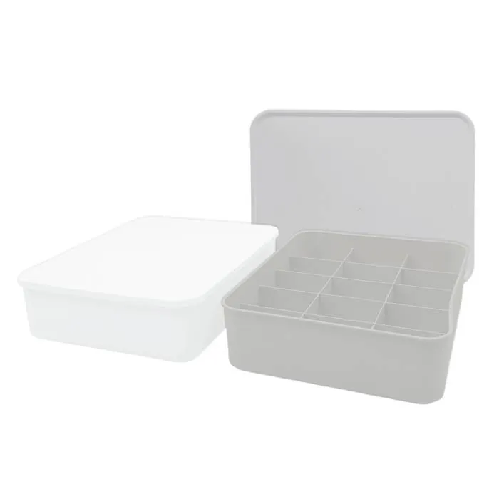 Caja Organizadora 15 Divisiones C/Tapa