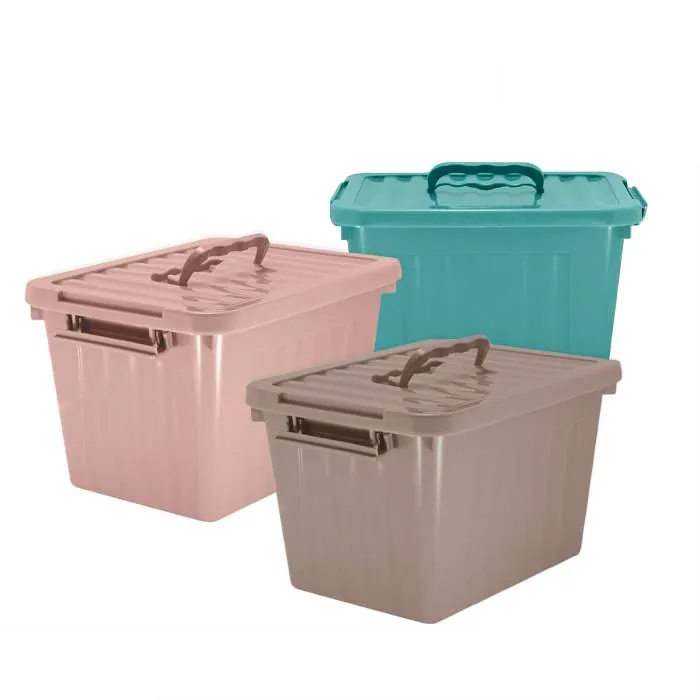 Caja Organizadora Chica Color 6 Lts