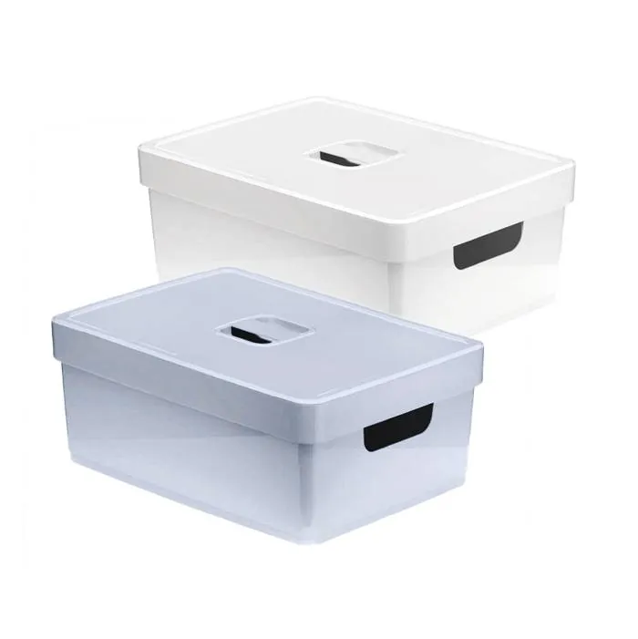 Caja Organizadora Lisa 10.3 Lts. Nitron