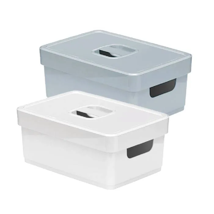Caja Organizadora Lisa 3.8 Lts. Nitron