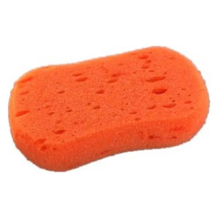 Esponja Hueso